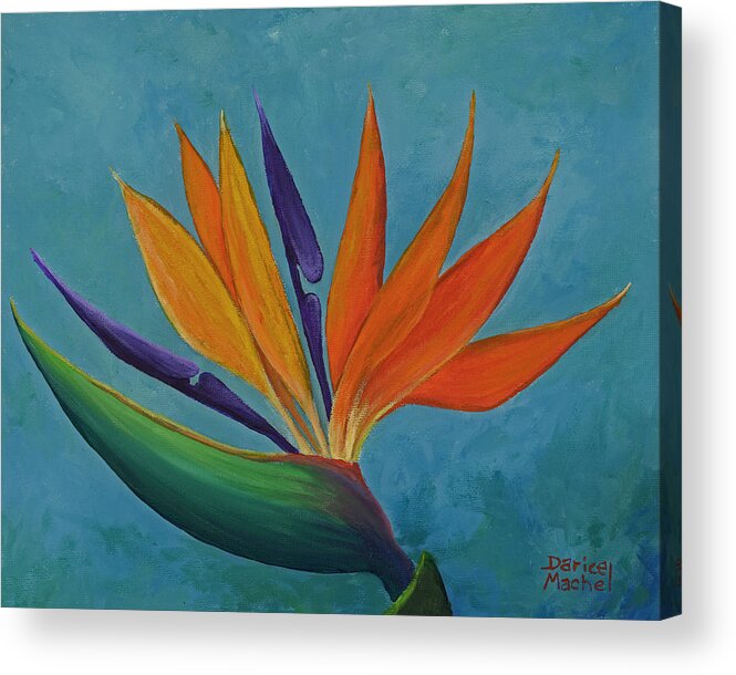 Tropical Acrylic Print featuring the painting Maui Bird Of Paradise by Darice Machel McGuire