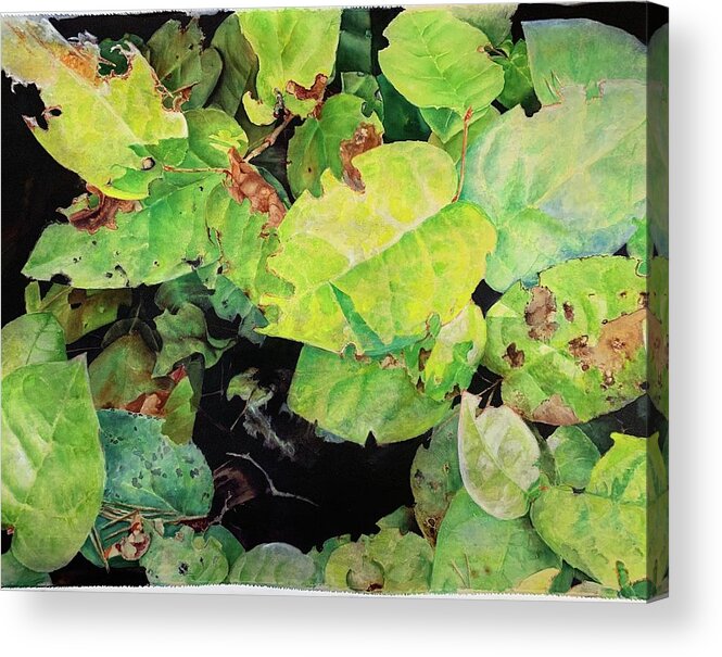 Landscape Detail Acrylic Print featuring the painting Mendocino Salal by Barbara Pease