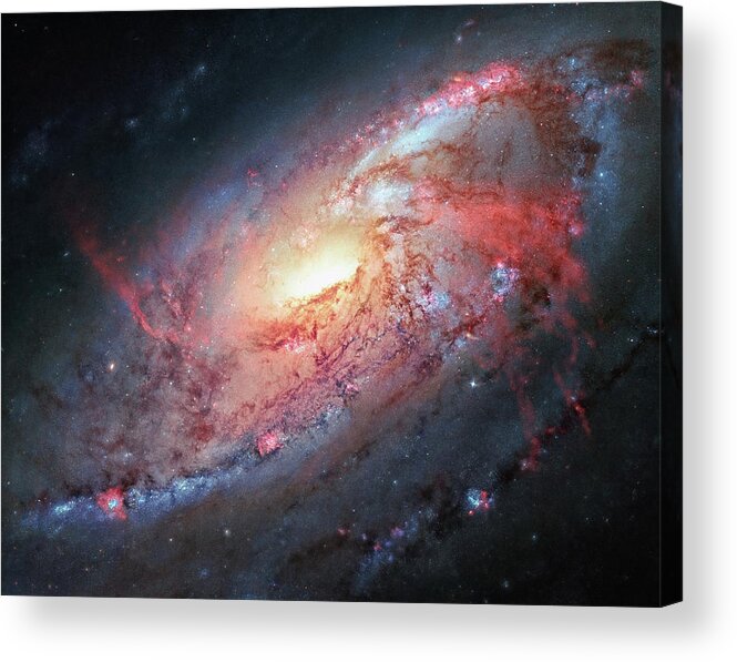Messier 106 Acrylic Print featuring the photograph Messier 106 by Mango Art