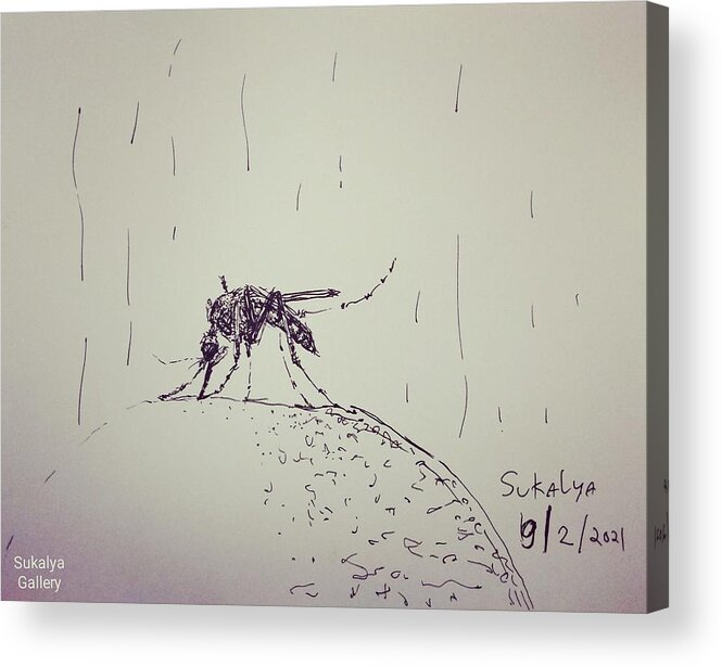 Mosquito Acrylic Print featuring the drawing Mosquito by Sukalya Chearanantana