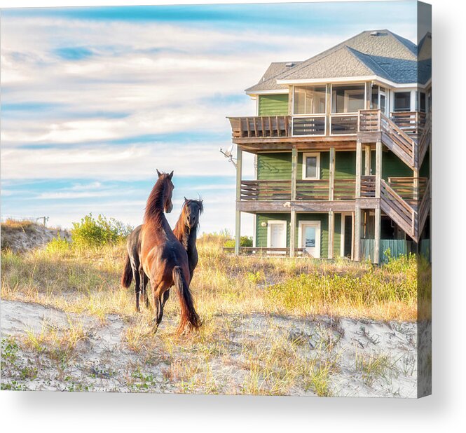 Mustangs Acrylic Print featuring the photograph Mustangs by Russell Pugh