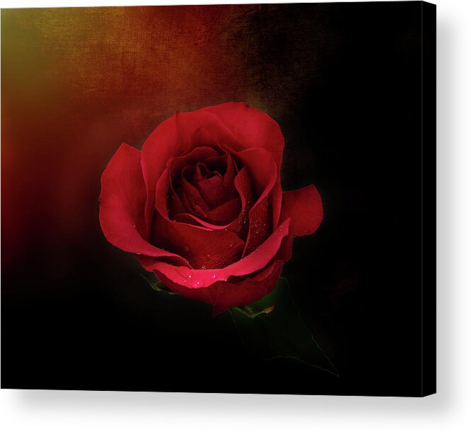 Mystic Rustic Red Rose Acrylic Print featuring the photograph Mystic Rustic Red Rose by Gwen Gibson
