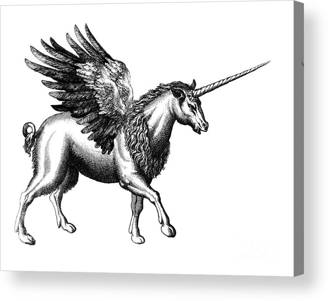 Unicorn Acrylic Print featuring the digital art Mythical Unicorn by Madame Memento