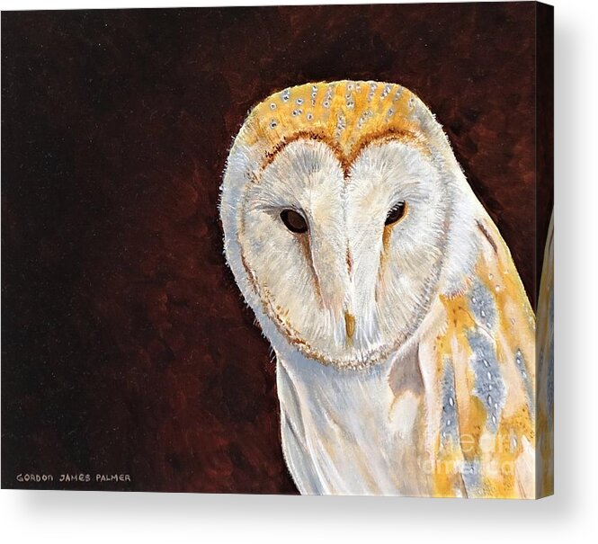 Barn Owl Acrylic Print featuring the painting Night watch by Gordon Palmer