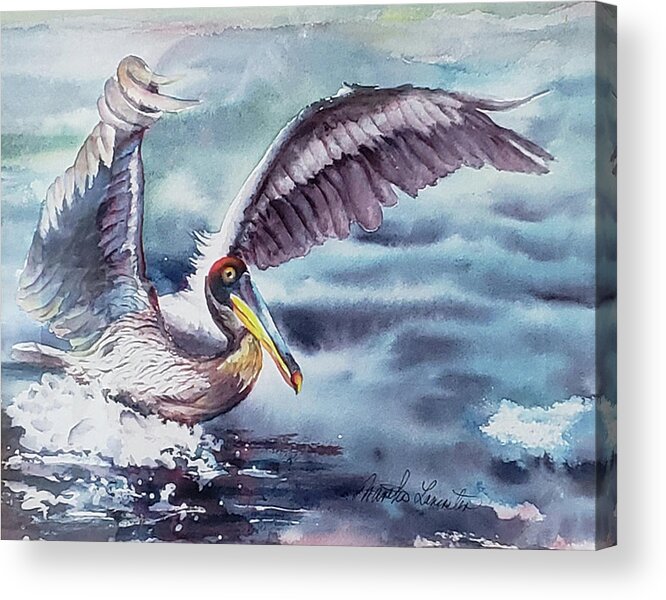 Gray Pelican Splash Landing Acrylic Print featuring the painting Pelican Landing by Martha Lancaster
