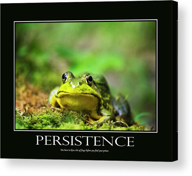 Inspirational Acrylic Print featuring the photograph Persistence Inspirational Motivational Poster Art by Christina Rollo