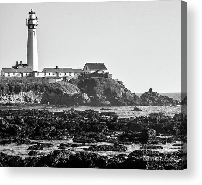 Lighthouse Acrylic Print featuring the photograph Pigeon Point Lighthouse by Kimberly Blom-Roemer