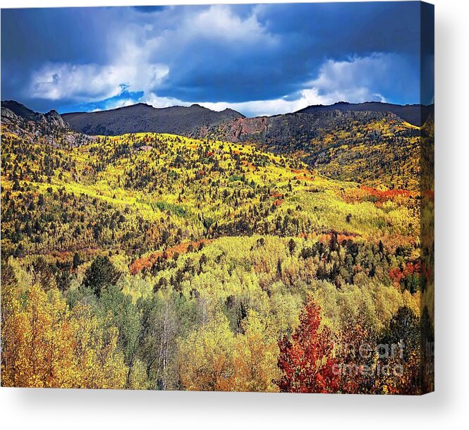 Jon Burch Acrylic Print featuring the photograph Pikes Peak Autumn by Jon Burch Photography