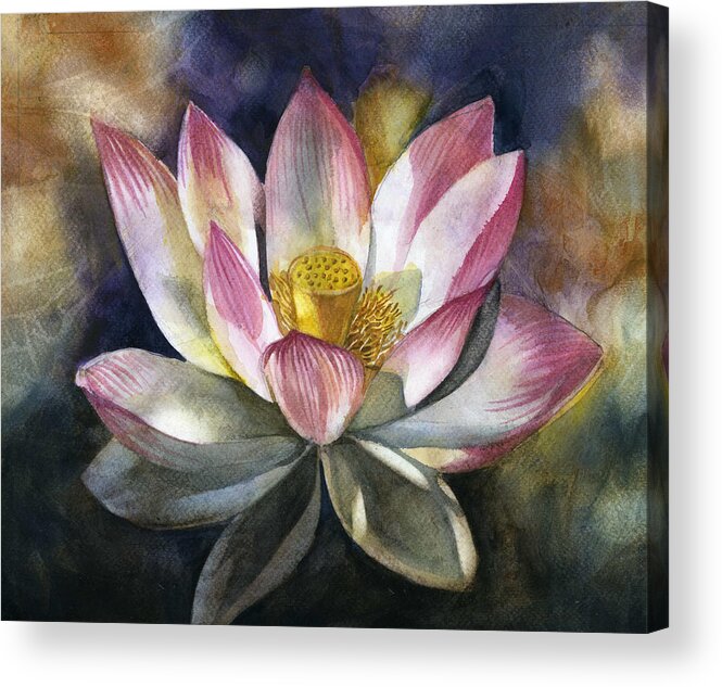 Pink Blossom Acrylic Print featuring the painting Pink Lotus Blossom by Alfred Ng