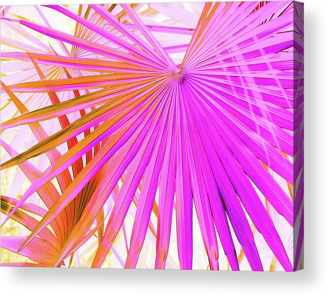 Trees Acrylic Print featuring the photograph Pink Orange Palmettos by Missy Joy
