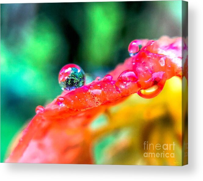 Macro Acrylic Print featuring the photograph Rain Drop Refection by Peggy Franz