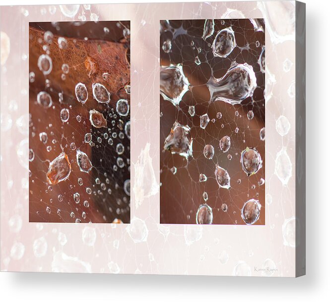 Raindrop Acrylic Print featuring the photograph Raindrops On Web by Karen Rispin