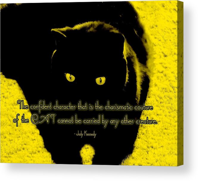 Cat Acrylic Print featuring the photograph Raven Chic by Judy Kennedy