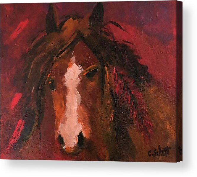 Horse Acrylic Print featuring the painting Red Pony by Christina Schott