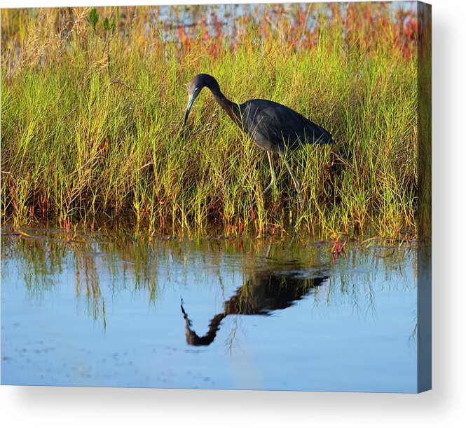 R5-2614 Acrylic Print featuring the photograph Reflecting on Life by Gordon Elwell