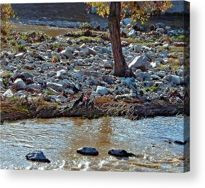 River Acrylic Print featuring the photograph River Island Day One by Andrew Lawrence