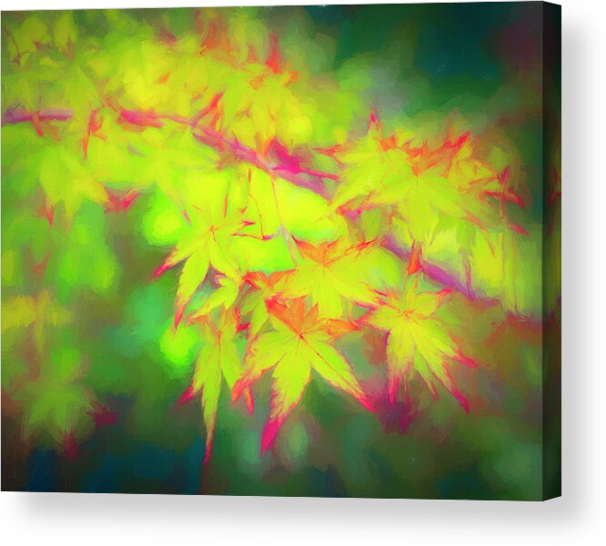 Red Acrylic Print featuring the photograph Scarlet Tipped Leaves by Lindsay Thomson