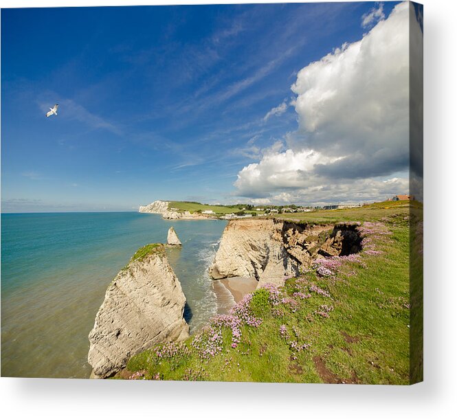 Outdoors Acrylic Print featuring the photograph Sea pinks and sea guls at Freshwater Bay by s0ulsurfing - Jason Swain
