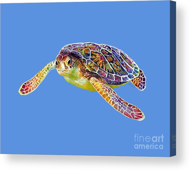 Turtle Acrylic Print featuring the painting Sea Turtle 3 - solid background by Hailey E Herrera