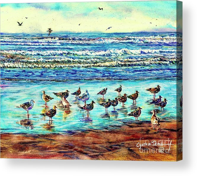 Cynthia Pride Watercolor Paintings Acrylic Print featuring the painting Seagull Get-together by Cynthia Pride