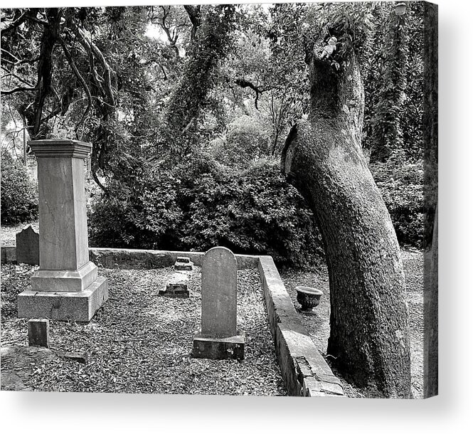 Beaufort Acrylic Print featuring the photograph Search Until You Find It BW by Lee Darnell