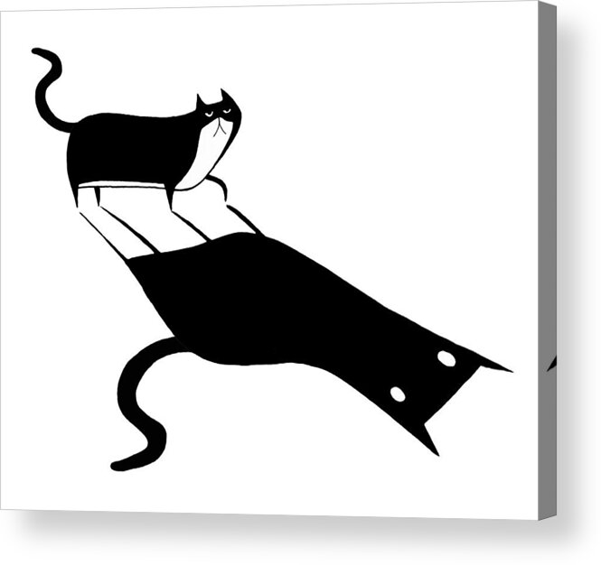 Cat Feline Pet Animal Moggie Tuxedo Prowl Hunt Shadow Light Light And Shadow Stretched Dark Eyes Ears Tail Spooky Whimsical Fun Cartoon Illustration Drawing Pen And Ink Ink Drawing Monochrome Black And White Acrylic Print featuring the drawing Shadow by Andrew Hitchen