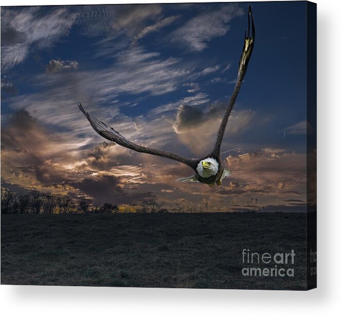 Wildlife Acrylic Print featuring the photograph Smoky Mountain Eagle on the Hunt by Theresa D Williams