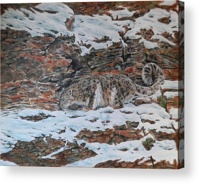 Leopard Acrylic Print featuring the painting Snow Leopard by John Neeve