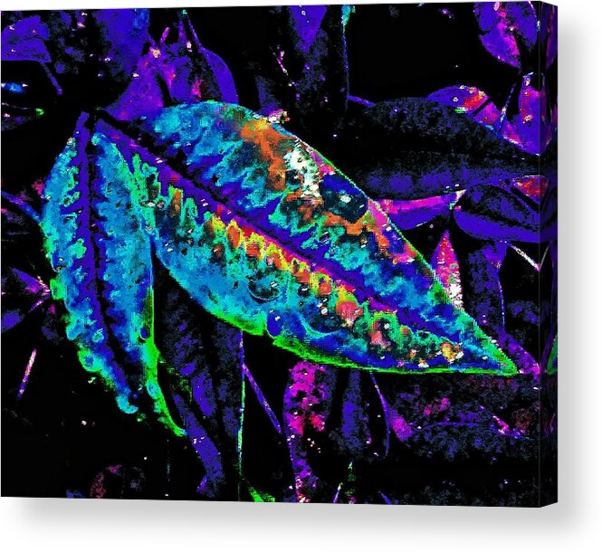 Solar Acrylic Print featuring the photograph Solar Blue Leaf by Andrew Lawrence