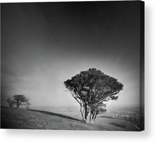 Pinhole Acrylic Print featuring the photograph South downs trees by Will Gudgeon