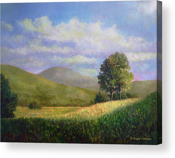 Landscape Acrylic Print featuring the painting Spring Light and Shade by Douglas Castleman