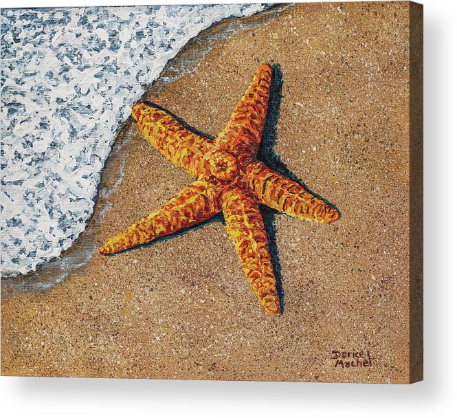Starfish On The Beach Acrylic Print by Darice Machel McGuire