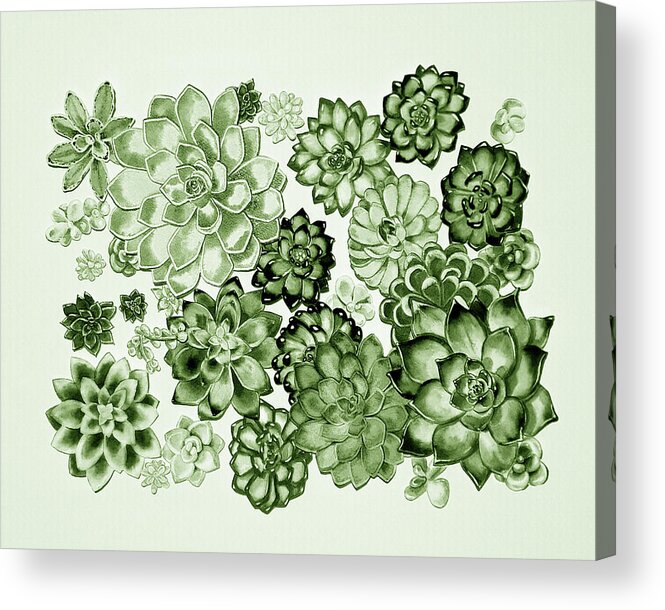 Succulent Acrylic Print featuring the painting Succulent Plants Wall Contemporary Garden Design In Moss Green  by Irina Sztukowski