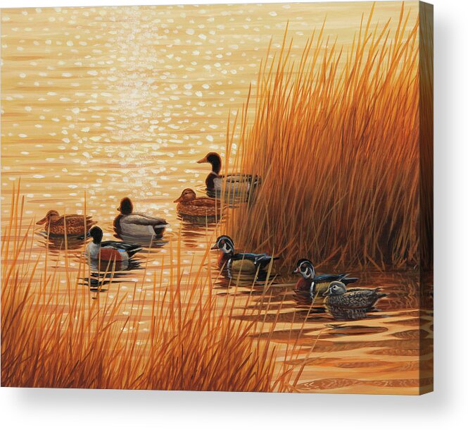Ducks Acrylic Print featuring the painting Sunset Mixer by Guy Crittenden