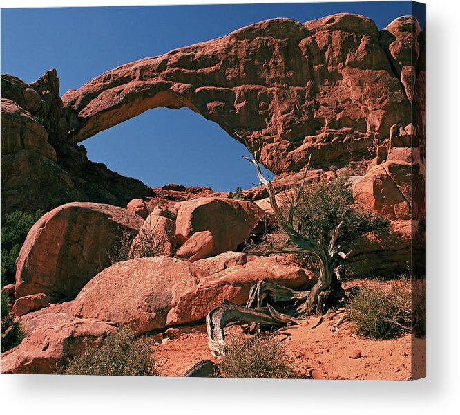 Tom Daniel Acrylic Print featuring the photograph Tapestry Arch by Tom Daniel