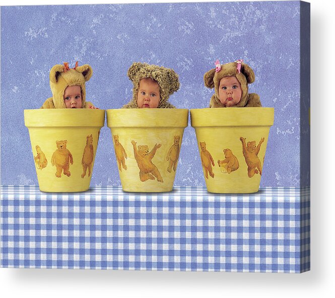 Flowerpots Acrylic Print featuring the photograph Teddy Bear Pots by Anne Geddes