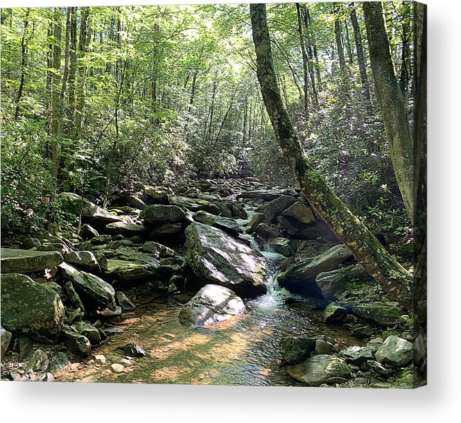 Nc Acrylic Print featuring the photograph Tha Crick by Lee Darnell