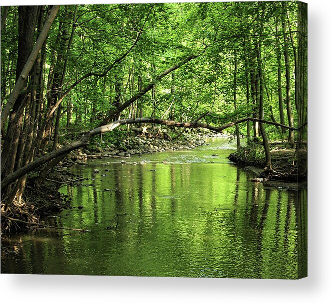 Spring Acrylic Print featuring the photograph The babbling brook by Scott Olsen