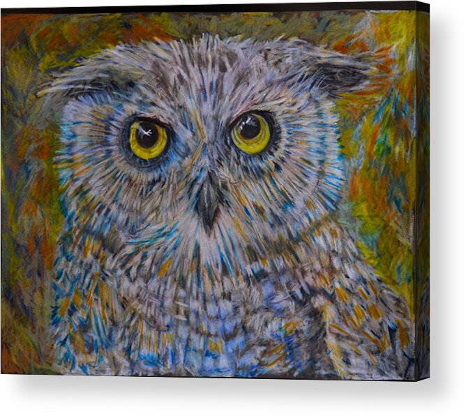 Colored Pencil Acrylic Print featuring the drawing The Barred Owl Baby by Marysue Ryan