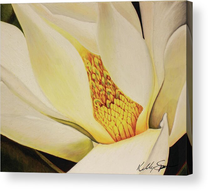 Magnolia Acrylic Print featuring the drawing The Last Magnolia by Kelly Speros