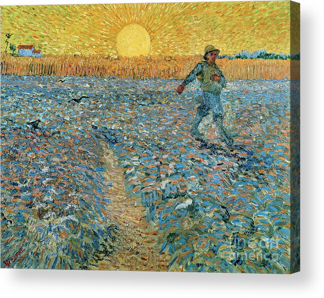 Vincent Van Gogh Acrylic Print featuring the painting The sower in the setting sun by Vincent van Gogh