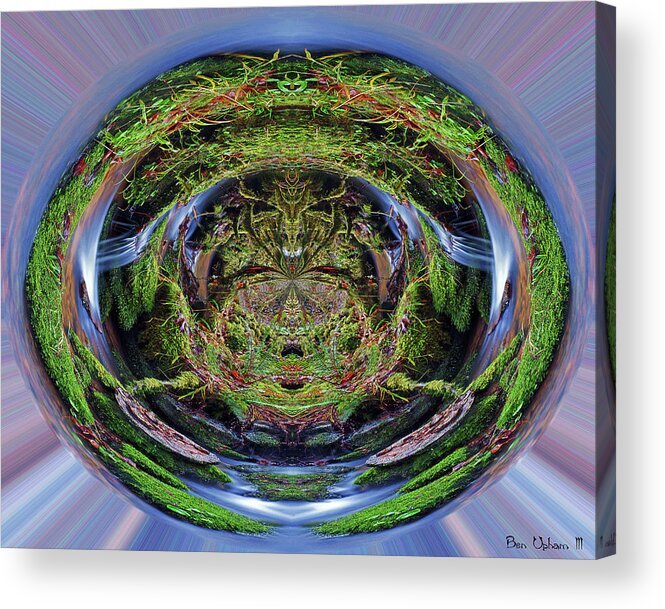 Nature Acrylic Print featuring the photograph The Spring of Eternal Life #2 by Ben Upham III