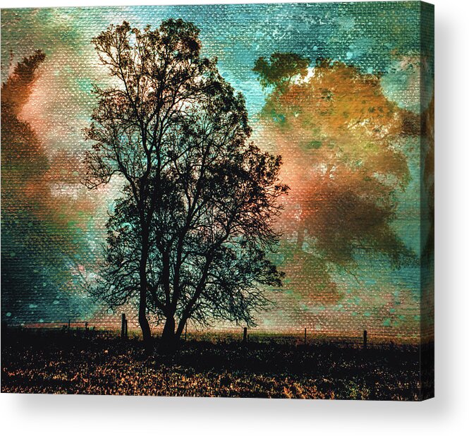 Veil Of Daybreak Acrylic Print featuring the photograph The Veil of Daybreak by Susan Maxwell Schmidt
