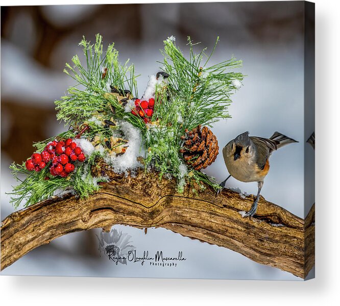 Titmouse Acrylic Print featuring the photograph TheChristmas Titmouse by Regina Muscarella