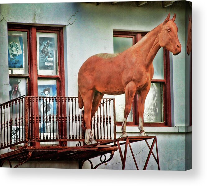 Architecture Acrylic Print featuring the photograph There's a Horse on the Balcony by David and Carol Kelly