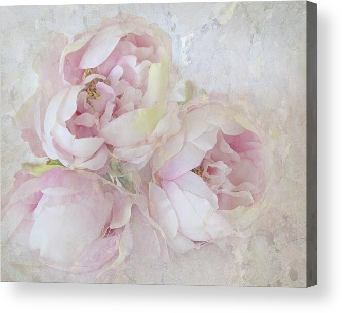 Flower Acrylic Print featuring the photograph Three Peonies by Karen Lynch