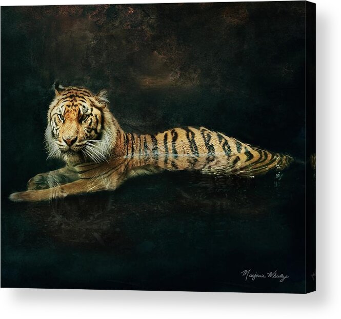 Texture Acrylic Print featuring the photograph Tiger In Water by Marjorie Whitley