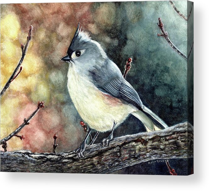 Tufted Titmouse Acrylic Print featuring the painting Tippi the Tufted Titmouse by Shana Rowe Jackson
