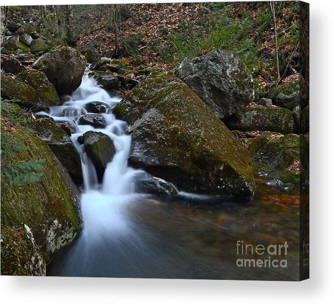 Brook Acrylic Print featuring the photograph Town Line Brook by Steve Brown