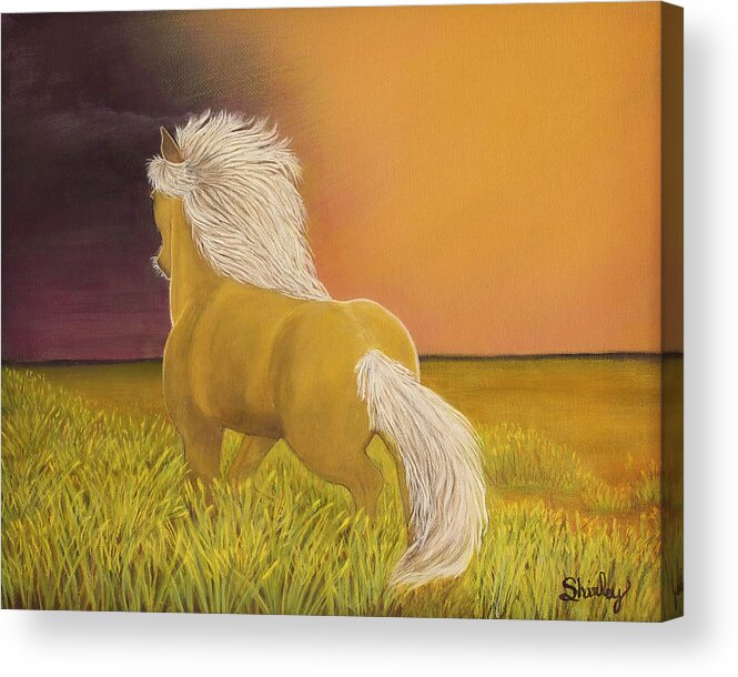 Horse Acrylic Print featuring the painting Trigger by Shirley Dutchkowski